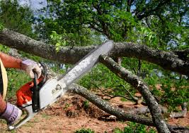 Best Tree Mulching  in Stonecrest, GA